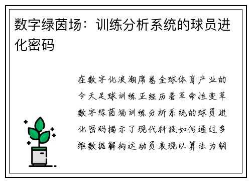 数字绿茵场：训练分析系统的球员进化密码